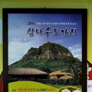 제주삼다수도야지