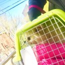 다남로165번길 이미지