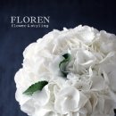 플로렌 이미지