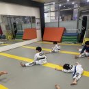 리더태권도장 이미지