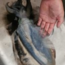 서고지민박 이미지