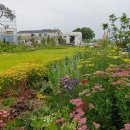 샛별농장 이미지