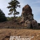 신효동-12 네이버블로그