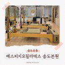 지오그룹 | 송도필라테스 에스피지오필라테스 송도본원 4:1 그룹수업 후기