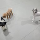 이맛국수김밥 | 25년 12월 일상