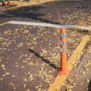 은행나무한의원 이미지