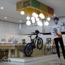 코덱스자전거 이미지