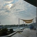 천보다원 | 보성여행# 대한다원 #녹차해수탕