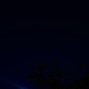 둥지별곡 이미지