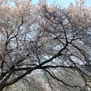 서울별장펜션민박 이미지