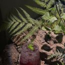 하나로 화원 이미지