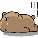 제이와이실용음악학원