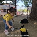 착한아빠농장 | 경기 안성 팜랜드 아이랑 각종 체험 후기 전동 자전거 추천