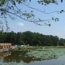 동방낚시터 이미지