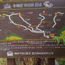 용화산들꽃향기