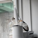 동물보육원 경기 수원 지부 이미지