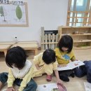 모든 걸 다~아는 “안다”씨와의 첫 만남 🤝🏻 이미지