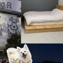 우리U펜션 이미지