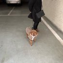 봉동쌍둥이네 한우촌 이미지