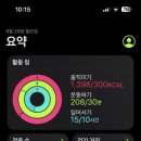 요술램프 이미지