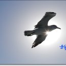 클럽유