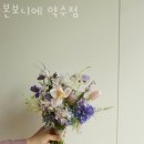 본보니에 - 중구 다산로18길 7 | 본보니에