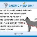 수원 오즈동물병원 이미지