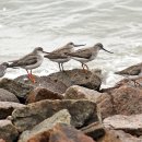 방파제파크 이미지