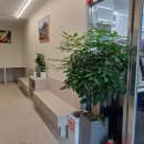 광남세탁소 이미지