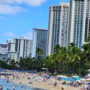 와이키키 이미지