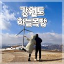 해선목장 | 강원도 평창 여행 대관령 가볼 만한 곳 하늘 목장 트랙터 마차 방문 후기ෆ