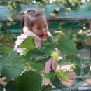 동빈농장 이미지