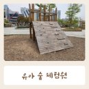 인천 동춘동 아이들과 가볼만한 곳 동춘유아숲체험원