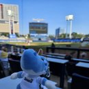 양덕동115 | 2025년 8월 17일 창원 NC파크 115구역 9열 3번 좌석 후기