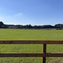 선민목장 이미지