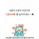 데이지영어공부방 | 원어민화상영어 캠블리키즈로 파닉스 배우고 있어요~ (커리큘럼, 첫 달 50% 할인코드 포함)