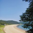 [인천 섬] 두 섬, 도도島島하다 이미지