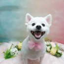 착한두부 이미지