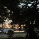 나영목장 이미지