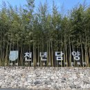 봉화루 | 전남 담양 가볼만한곳 추천! 죽녹원 입장료, 주차 정보