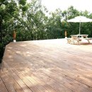 비바체(Vivace) 이미지