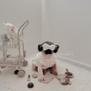 스타빌리 | 수원 스타필드 아기옷 3층 빌리 BILY 방문 구매후기