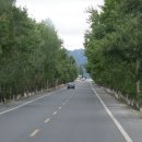 백양목장 이미지