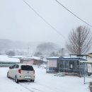 우리들 랜드 이미지