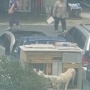 덕천초등학교 이미지