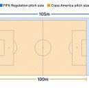 코파 대회 경기장은 피파규격보다 5m, 4m씩 작다 이미지