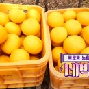 신성농장 이미지