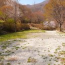 백무동야영장 이미지