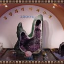 원숭이학교 자연사박물관 이미지