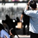 "한국 아열대 기후된다"…기후위기가 불러온 섬뜩한 경고 이미지